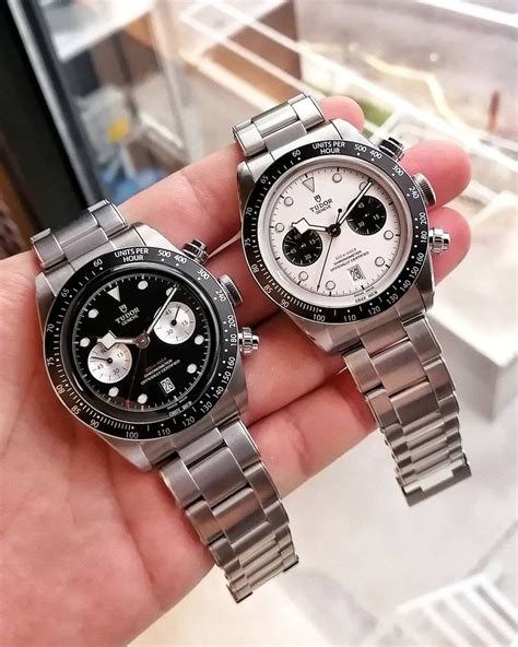 rolex daytona vs tudor chrono|Rolex black bay chrono review.